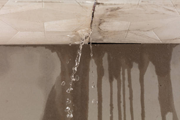 Professional Sewage Cleanup technician working in Wiggins, CO